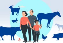 ¿Por qué cada vez hay más enfermedades que transmiten los animales? Foto: Ilustración de zoonosis, enfermedades que se transmiten al humano por los animales