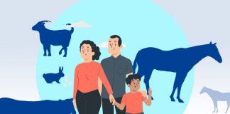 Foto: Ilustración de zoonosis, enfermedades que se transmiten al humano por los animales
