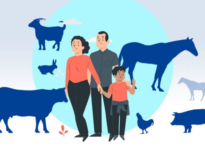 Foto: Ilustración de zoonosis, enfermedades que se transmiten al humano por los animales