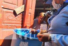 Continúa la lucha antiepidémica contra el mosquito transmisor en Managua Continúa la lucha antiepidémica contra el mosquito transmisor en Managua