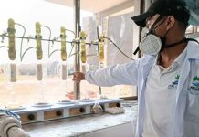 Gobierno de Nicaragua visita la empresa PALCASA en Río San Juan