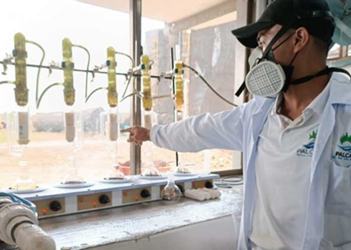 Gobierno de Nicaragua visita la empresa PALCASA en Río San Juan