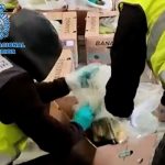 ¿Ingenioso? Detienen 2 toneladas de cocaína escondidas entre bananas Foto: ¿Ingenioso? Detienen 2 toneladas de cocaína escondidas entre bananas / Cortesía