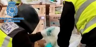 Foto: ¿Ingenioso? Detienen 2 toneladas de cocaína escondidas entre bananas / Cortesía