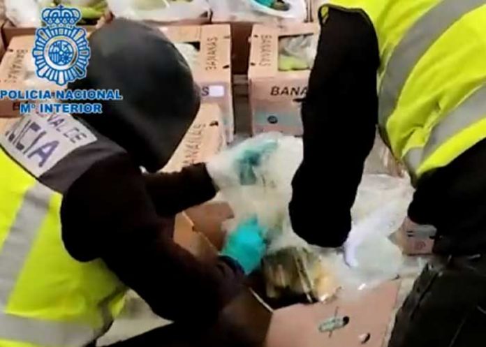 Foto: ¿Ingenioso? Detienen 2 toneladas de cocaína escondidas entre bananas / Cortesía