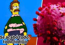 Tras una larga lucha: OMS declara el fin de la pandemia por covid-19
