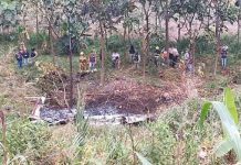 Ecuador: Dos muertos tras caída de avioneta en Pastaza Dos muertos tras caída de avioneta en Pastaza, Ecuador