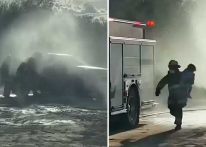 Un amor valiente: Madre recibe 75 picaduras de abejas al proteger a sus hijos