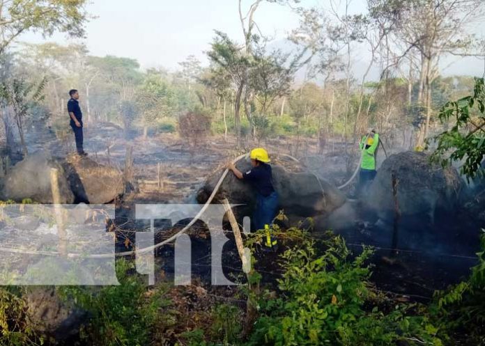 Foto: Bomberos controlan incendio forestal en la Isla de Ometepe / TN8