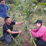 Lo que Aprendimos de Nicaragua sobre Agroecología. Por: Rick Kohn