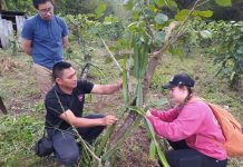 Lo que Aprendimos de Nicaragua sobre Agroecología. Por: Rick Kohn