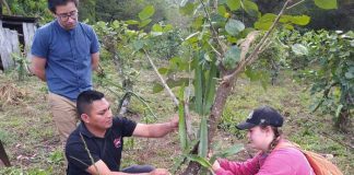 Lo que Aprendimos de Nicaragua sobre Agroecología. Por: Rick Kohn