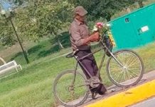 Encuentran muerto a abuelito tras llevar flores a la tumba de su esposa Encuentran muerto a abuelito tras llevar flores a la tumba de su esposa
