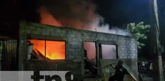 Foto: Gran susto se llevaron habitantes del barrio Campo Bruce tras registrarse un voraz incendio / TN8