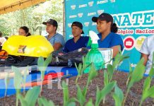Centro Tecnológico en Palacagüina Madriz promueve el estudio agropecuario Centro Tecnológico en Palacaguina Madriz promueve el estudio agropecuario