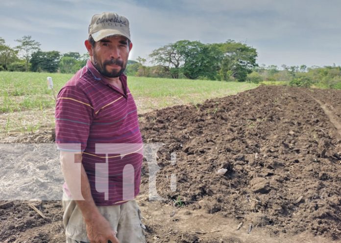 Productores ya tienen listas sus tierras para comenzar a sembrar