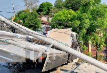 Fallo mecánico casi provoca una tragedia en Diriá Foto: Fallo mecánico casi provoca una tragedia en Diriá/TN8