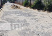 Alcaldía de Bilwi entregará 750 metros de calle adoquinada