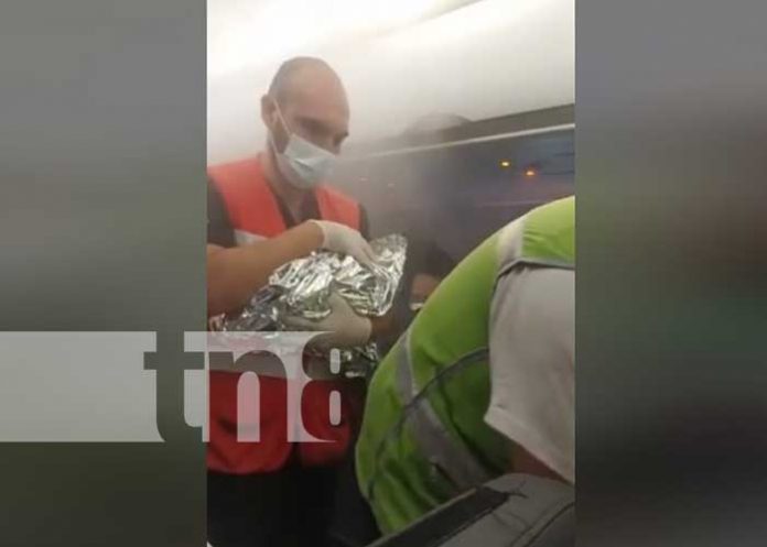 ¡Increíble! Dio a luz en pleno vuelo de Managua-Miami (VIDEO)