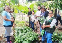 MARENA inaugura vivero emblemático en San Lorenzo, Boaco