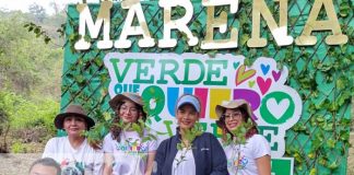 Nicaragua inicia la siembra de 26 millones de plantas en todo el país