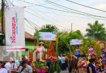 Exitoso segundo día del carnaval de Las Flores, Nicaragua en permanente florecer Foto: carnaval de Las Flores, Nicaragua en permanente florecer / TN8