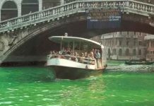 El agua del Gran Canal de Venecia se tiñe de verde