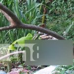 Foto: Encuentran en un barranco a un hombre sin vida que estaba desaparecido en Diriamba/ TN8