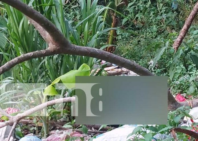 Foto: Encuentran en un barranco a un hombre sin vida que estaba desaparecido en Diriamba/ TN8