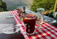 Mirador Mesón Sur, una excelente opción de comida italiana en Managua Foto: Mirador Mesón Sur, una excelente opción de comida italiana en Managua / TN8