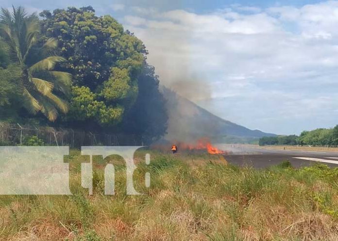 Incendio forestal es sofocado por bomberos en Ometepe