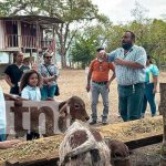 Jalapa: Estrategia de Inseminación avanza con pasos firmes Foto: Jalapa: Estrategia de Inseminación avanza con pasos firmes / TN8