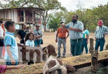 Jalapa: Estrategia de Inseminación avanza con pasos firmes Foto: Jalapa: Estrategia de Inseminación avanza con pasos firmes / TN8