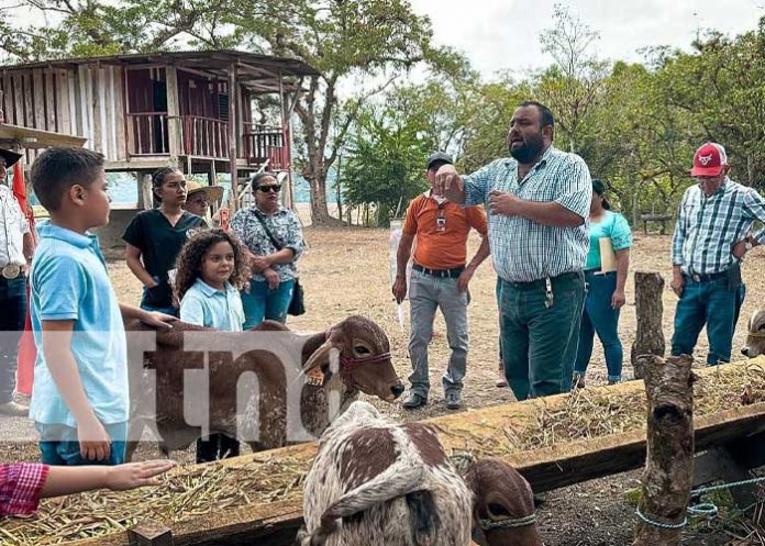 Foto: Jalapa: Estrategia de Inseminación avanza con pasos firmes / TN8