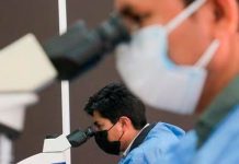MINSA informa sobre la disminución de casos de malaria y neumonía