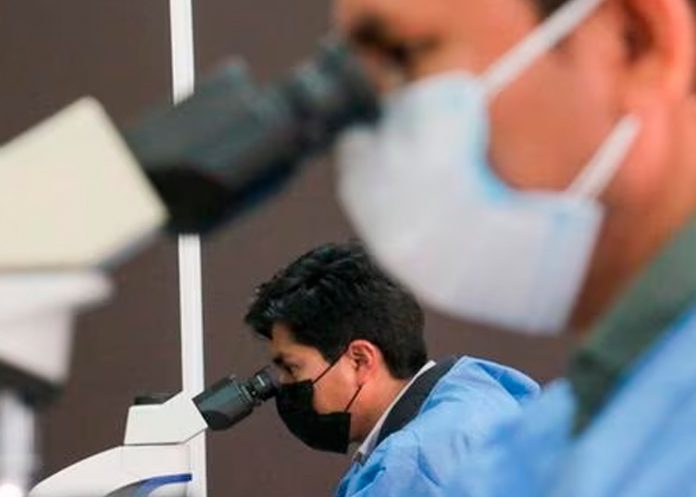 2 MINSA informa sobre la disminución de casos de malaria y neumonía