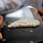 En China cultivan los primeros filetes de pescado impresos en 3D