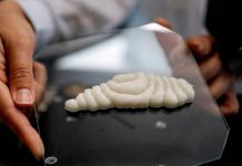 En China cultivan los primeros filetes de pescado impresos en 3D En China cultivan los primeros filetes de pescado impresos en 3D