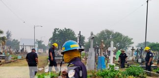 Inspeccionan cementerios en Managua, para eliminar enjambres de abejas