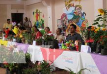 Nicaragua ya cuenta con un mapa nacional de viveros y jardines