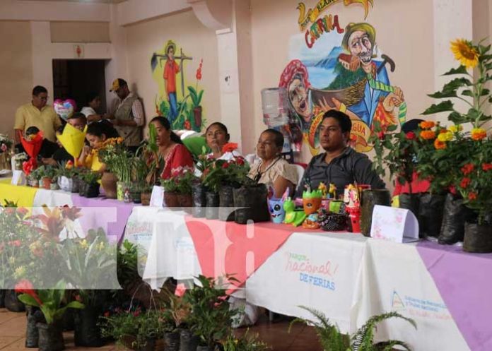 Nicaragua ya cuenta con un mapa nacional de viveros y jardines