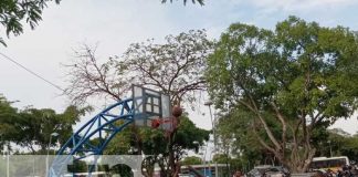Foto: ALMA realiza Competencia de Baloncesto sobre Sillas de Rueda en Managua / TN8