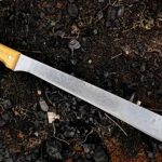 ¡Sangriento! Asesinato a machetazos en comarca Campana, en Muelle de los Bueyes Foto: ¡Sangriento! Asesinan a machetazos a un hombre en comarca Campana Muelle de los Bueyes / TN8