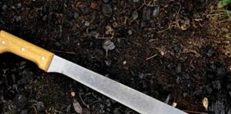 Foto: ¡Sangriento! Asesinan a machetazos a un hombre en comarca Campana Muelle de los Bueyes / TN8