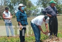 Inauguran Centro Nacional de Desarrollo Tecnológico en San Marcos, Carazo Foto: Inauguran Centro Nacional de Desarrollo Tecnológico en San Marcos, Carazo / TN8