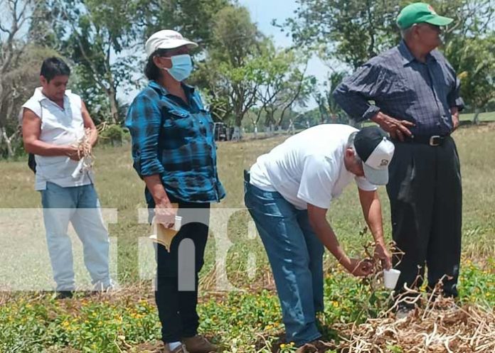 3 Foto: Inauguran Centro Nacional de Desarrollo Tecnológico en San Marcos, Carazo / TN8