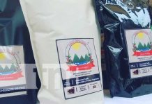 Expo Feria departamental del café muestra alta calidad y comercio en Ocotal Expo Feria departamental del café muestra alta calidad y comercio en Ocotal