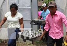 Pequeños productores capacitados para mejorar producción en Nandaime Pequeños productores capacitados para mejorar producción en Nandaime