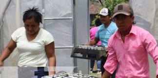 Pequeños productores capacitados para mejorar producción en Nandaime