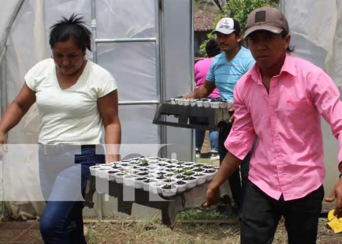 Pequeños productores capacitados para mejorar producción en Nandaime